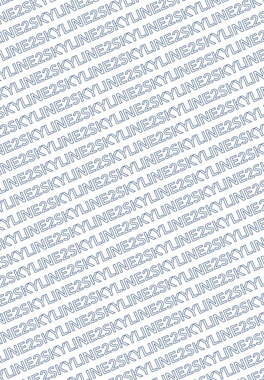 Skyline 2. International Exhibition. Ediz. multilingue - Pengpeng Wang,Emanuele Gregolin,Angelo D‘Amato - copertina