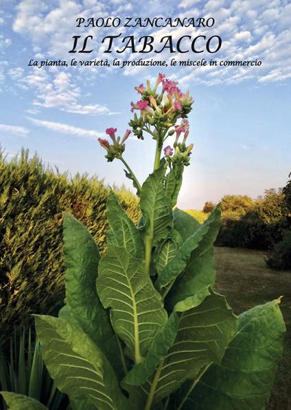 Il Tabacco. La pianta, le varietà, la produzione, le miscele in commercio. Ediz. speciale - Paolo Zancanaro - copertina