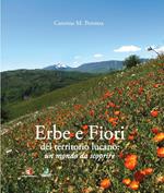 Erbe e fiori del territorio lucano. Un mondo da scoprire. Ediz. a colori