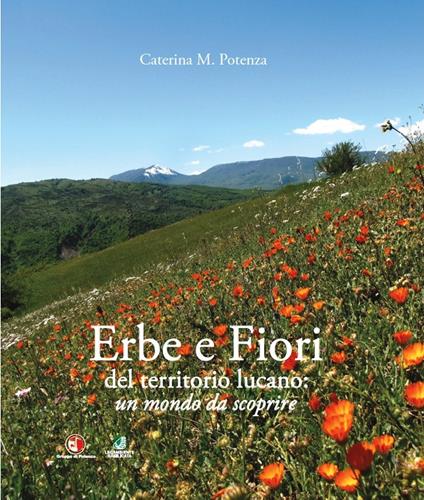 Erbe e fiori del territorio lucano. Un mondo da scoprire. Ediz. a colori - Caterina Potenza - copertina