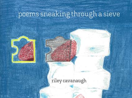 Poems sneaking through a sieve. Ediz. a spirale - Riley Cavanaugh,Nina Wexelblatt - copertina