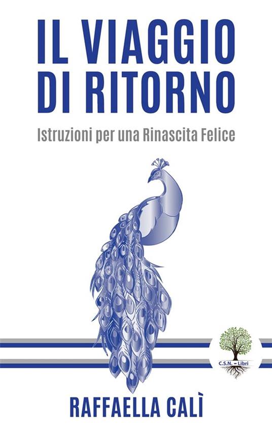Il Viaggio di Ritorno - Calì Raffaella - ebook