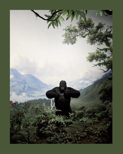 Zoology. Benvenuti nel regno animale. Ediz. illustrata - Stefano Vigni,Chiara Narcisi - copertina