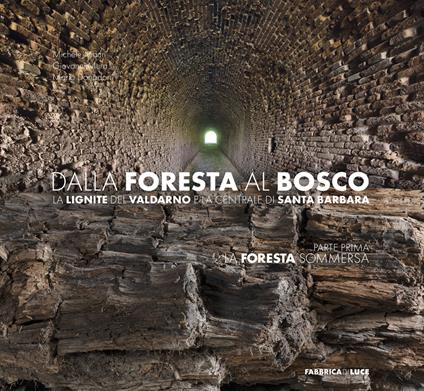 Dalla foresta al bosco. La lignite del Valdarno e la centrale di Santa Barbara. Parte prima: la foresta sommersa. Ediz. illustrata - Michele Mauri,Giovanni Mura,Mario Donadoni - copertina