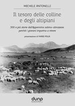 Il tesoro delle colline e degli altipiani. 300 e più storie dall'Appennino sabino-abruzzese, perché i giovani imparino a vivere