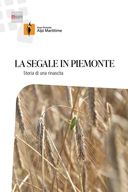 La segale in Piemonte. Storia di una rinascita. Nuova ediz. - Marco Mucciarelli,Massimo Blandino,Luca Capo - copertina