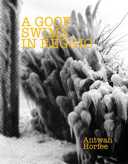 A goof swims in Reggio - Antwan Horfee - copertina
