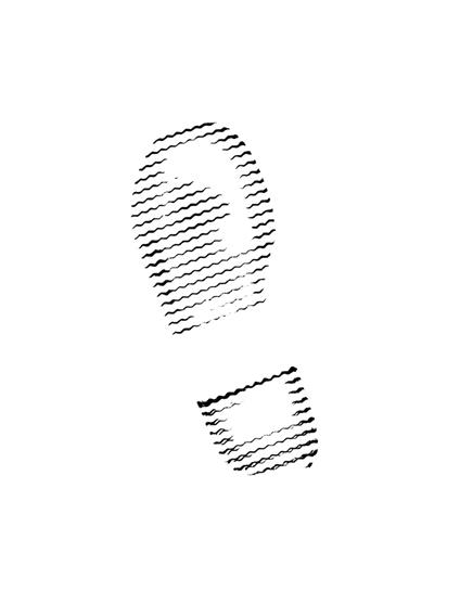 Map to the star. Ediz. italiana e inglese - Mirko Viglino - copertina