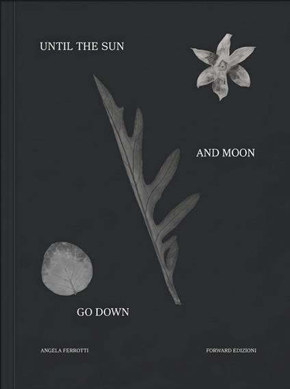Until the sun and moon go down. Ediz. illustrata - Angela Ferrotti - copertina