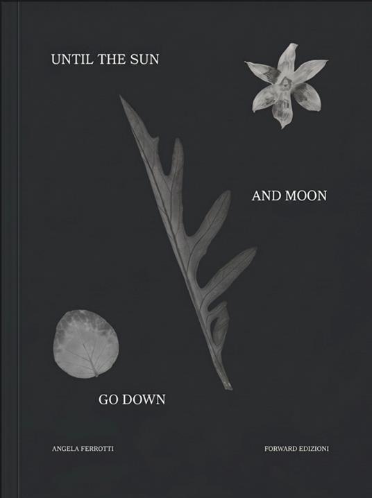 Until the sun and moon go down. Ediz. illustrata - Angela Ferrotti - copertina