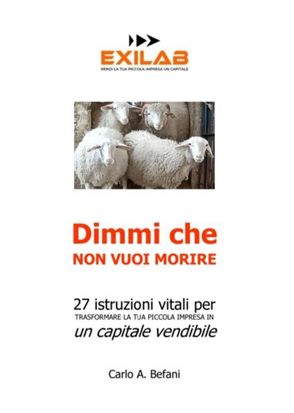 Dimmi che non vuoi morire. 27 istruzioni vitali per trasformare la tua piccola impresa in un capitale vendibile - Carlo A. Befani - copertina