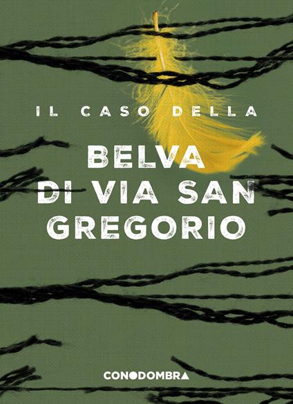 Il caso della Belva di via San Gregorio - Collettivo Tralerighe - ebook