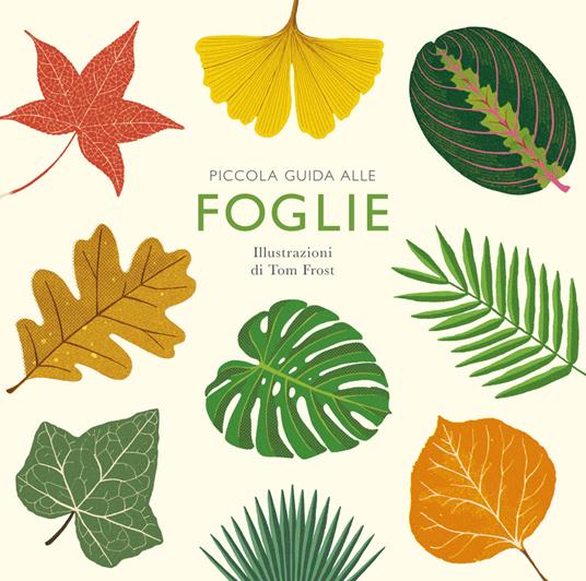 Piccola guida alle foglie. Ediz. illustrata - Alison Davies - copertina