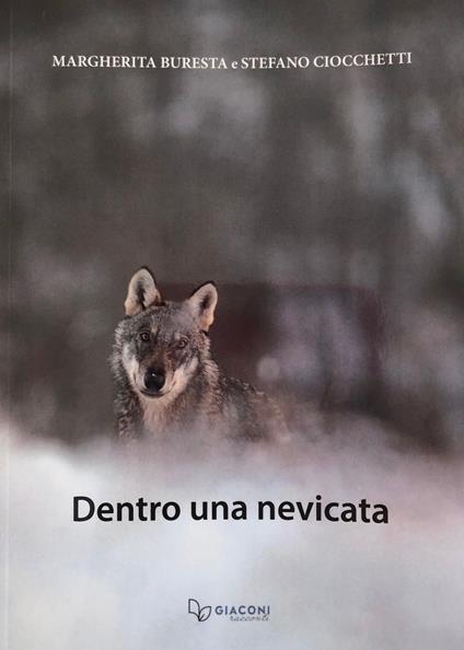 Dentro una nevicata. Ediz. illustrata - Margherita Buresta,Stefano Ciocchetti - copertina