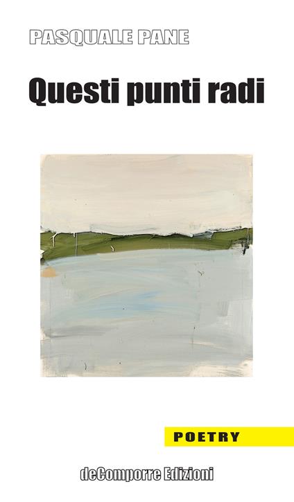 Questi punti radi - Pasquale Pane - copertina