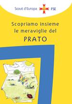 Il campo di orientamento al servizio. Scopriamo insieme le meraviglie del prato