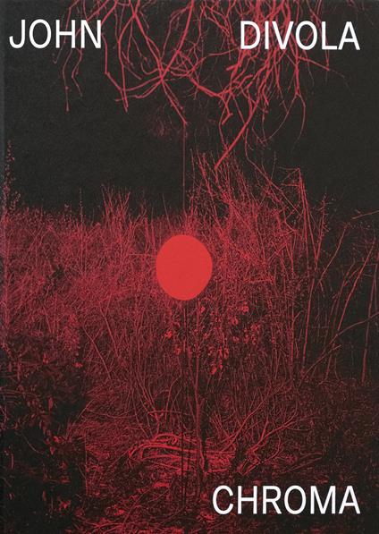 Chroma. Ediz. illustrata - John Divola - copertina