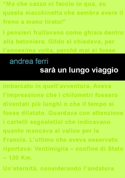 Sarà un lungo viaggio - Andrea Ferri - copertina