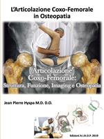L' articolazione coxo-femorale in osteopatia. Articolazione coxo-femorale: struttura, funzione, imaging e osteopatia