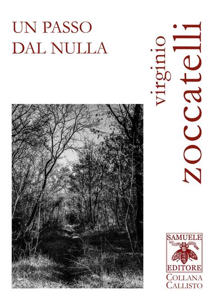 Un passo dal nulla - Virginio Zoccatelli - copertina