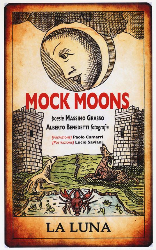 Mock moons. La luna. Ediz. a colori. Ediz. a spirale - Massimo Grasso - copertina
