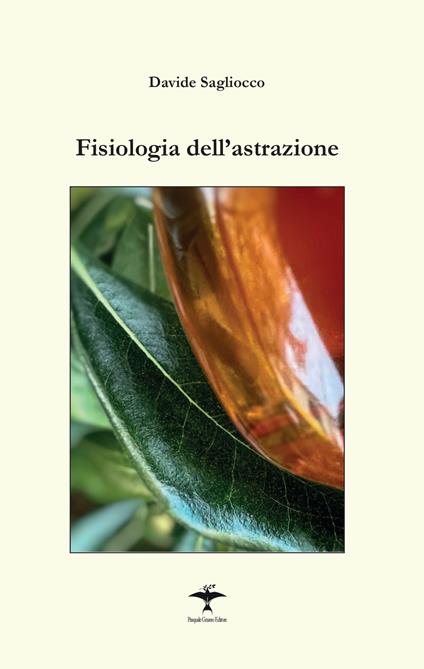 Fisiologia dell'astrazione - Davide Sagliocco - copertina
