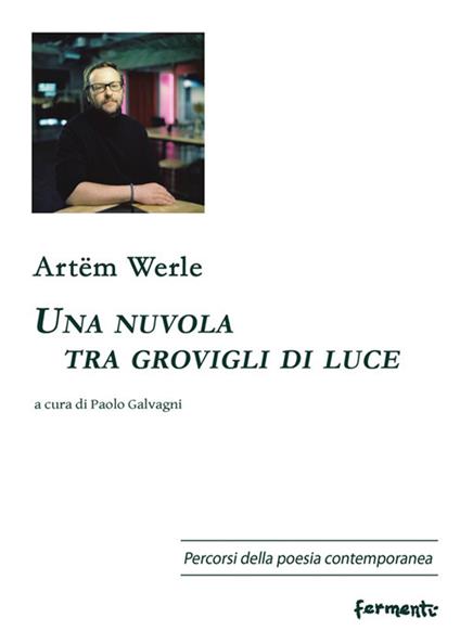Una nuvola tra grovigli di luce. Testo russo a fronte - Artëm Werle - copertina