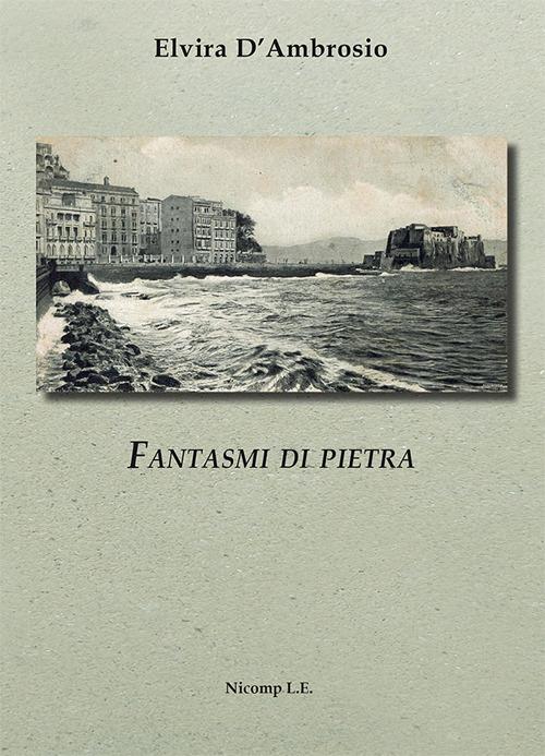 Fantasmi di pietra - Elvira D'Ambrosio - copertina