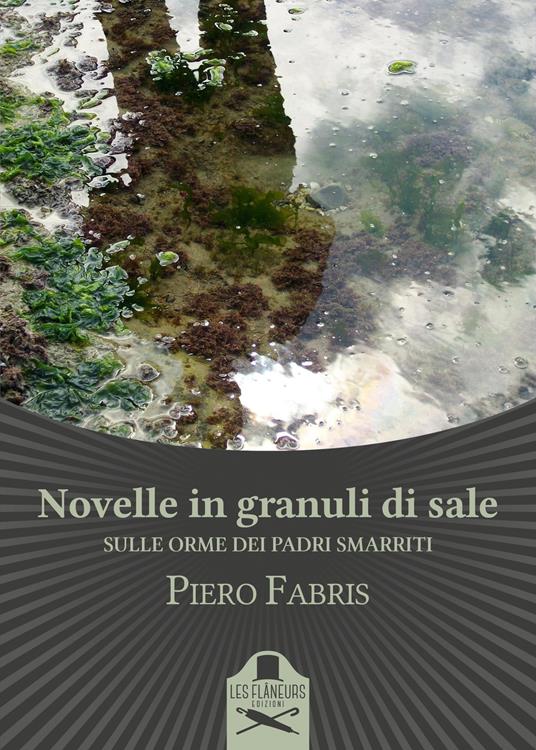 Novelle in granuli di sale. Sulle orme dei padri smarriti - Piero Fabris - copertina