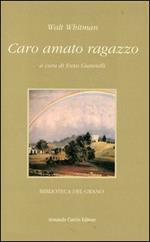 Caro amato ragazzo. Lettere d'amore a un giovane vetturino 1868-1880