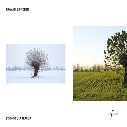 L'istinto e la traccia. Dittici visivi tra permanenza e fragilità nella Bergamasca contemporanea - Giovanni Diffidenti - copertina