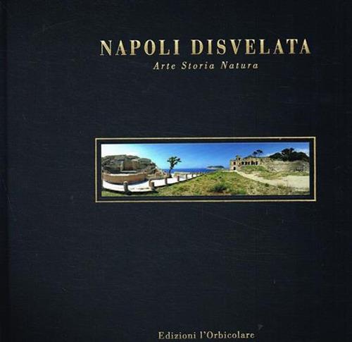 Napoli disvelata. Arte, storia, natura. Ediz. italiana e inglese - copertina