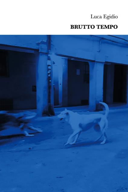Brutto tempo - Luca Egidio - copertina