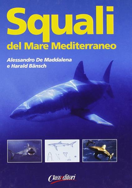 Squali del Mar Mediterraneo. Ediz. illustrata - Alessandro De Maddalena,Harald Bänsch - copertina