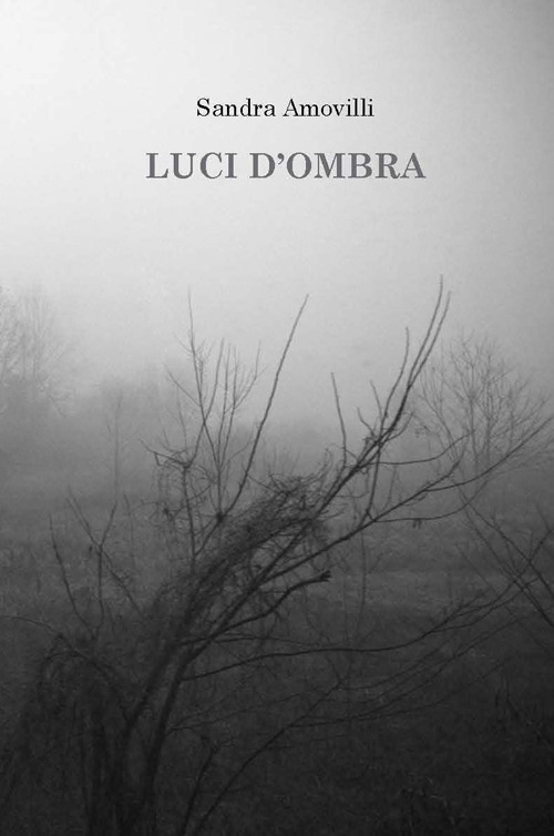 Libreria Internazionale Romagnosi snc