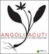 Angoli acuti - Olga Cazzaniga - copertina