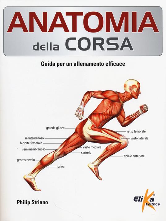 Anatomia della corsa. Guida per un alenamento efficace - Philip Striano - copertina