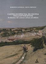 Castelnuovo Val di Cecina nell’Ottocento. Evoluzione del contesto urbano ed edilizio