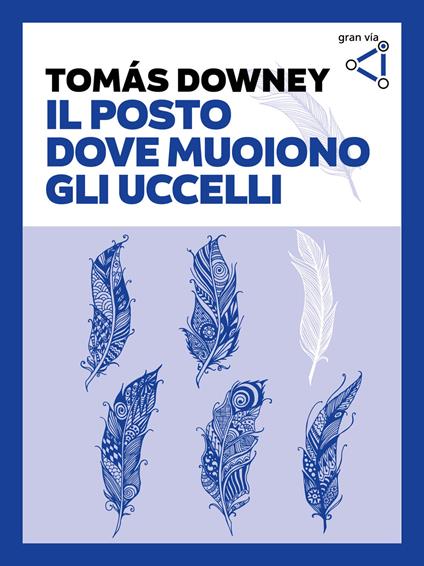 Il posto dove muoiono gli uccelli - Tomás Downey,Olga Alessandra Barbato - ebook