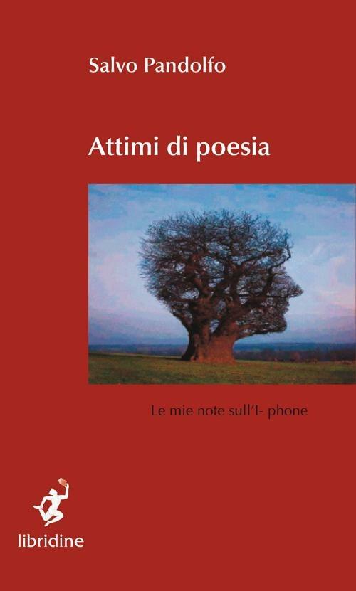 Attimi di poesia. Le mie note sull'iphone - Salvo Pandolfo - copertina