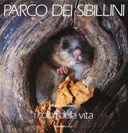 Parco dei Sibillini. I colori della vita. Ediz. multilingue - Sandro Polzinetti - copertina