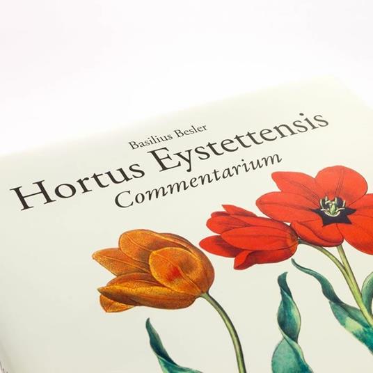 Hortus Eystettensis Commentarium in lingua italiana, inglese e tedesca - Basilius Besler - 4