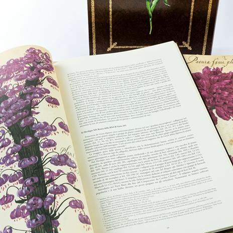 Hortus Amoenissimus. Facsimile con commentario in lingua italiana - Franciscus de Geest - 2