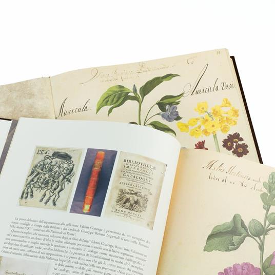 Hortus Amoenissimus. Facsimile con commentario in lingua italiana - Franciscus de Geest - 4