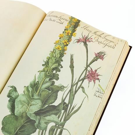 Hortus Amoenissimus. Facsimile con commentario in lingua italiana - Franciscus de Geest - 8