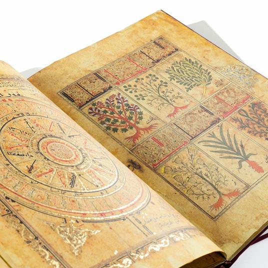 Kitâb al-Diryâq - Facsimile da collezione con commentario in lingua Italiana-Spagnola-Tedesca - 18