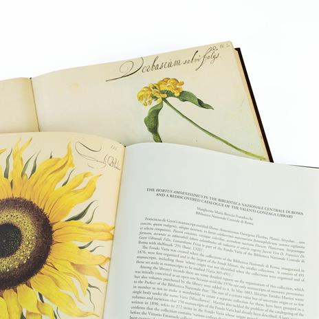 Hortus Amoenissimus. Facsimile with a Commentary volume in English language - Franciscus de Geest - 4