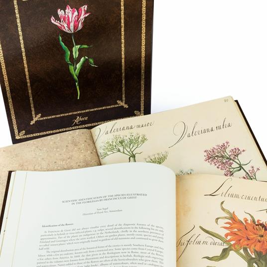 Hortus Amoenissimus. Facsimile with a Commentary volume in English language - Franciscus de Geest - 2