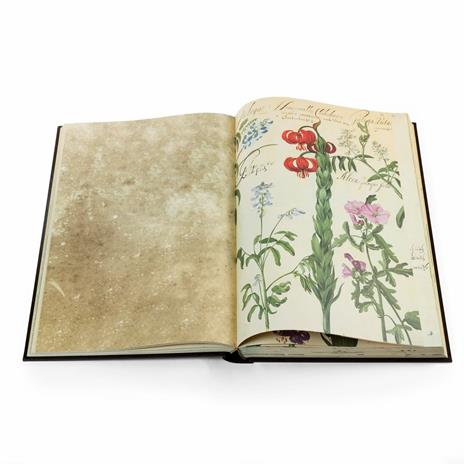 Hortus Amoenissimus. Facsimile with a Commentary volume in English language - Franciscus de Geest - 7