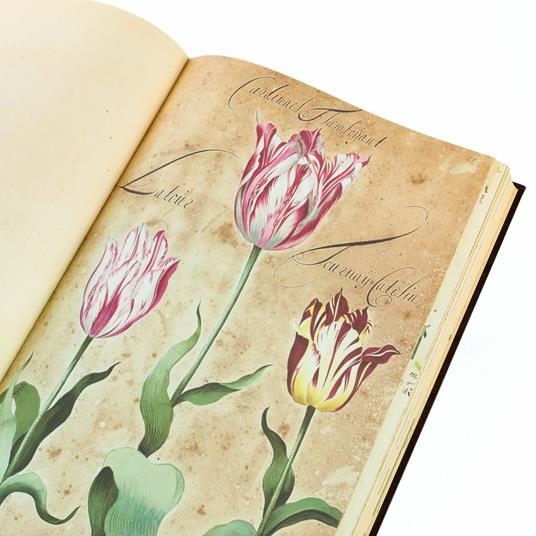 Hortus Amoenissimus. Facsimile with a Commentary volume in English language - Franciscus de Geest - 8